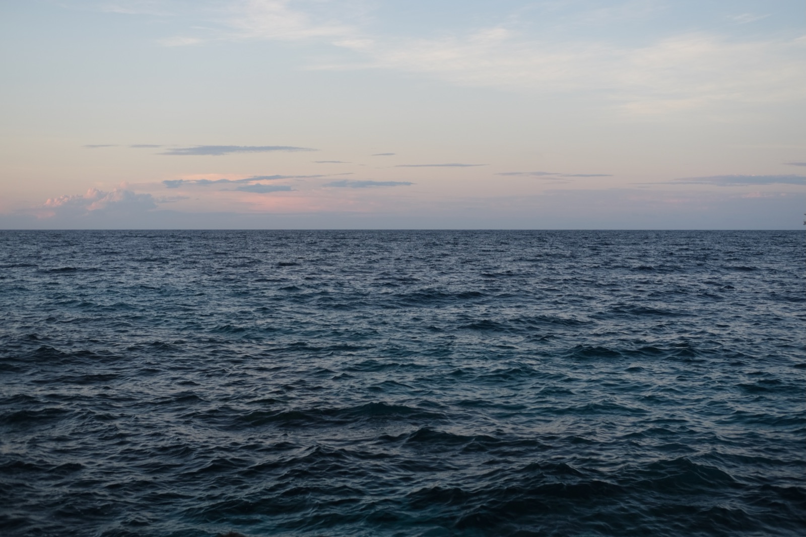 Photo 50