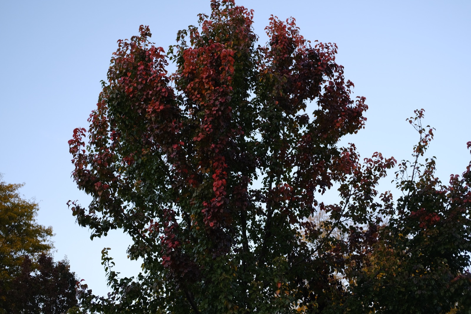 Photo 24