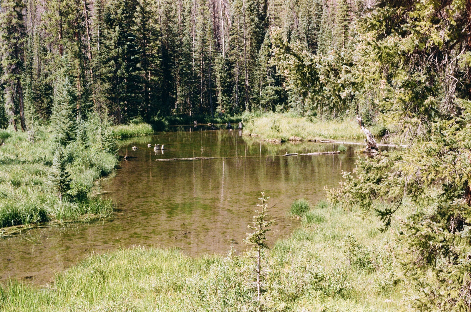 Photo 21