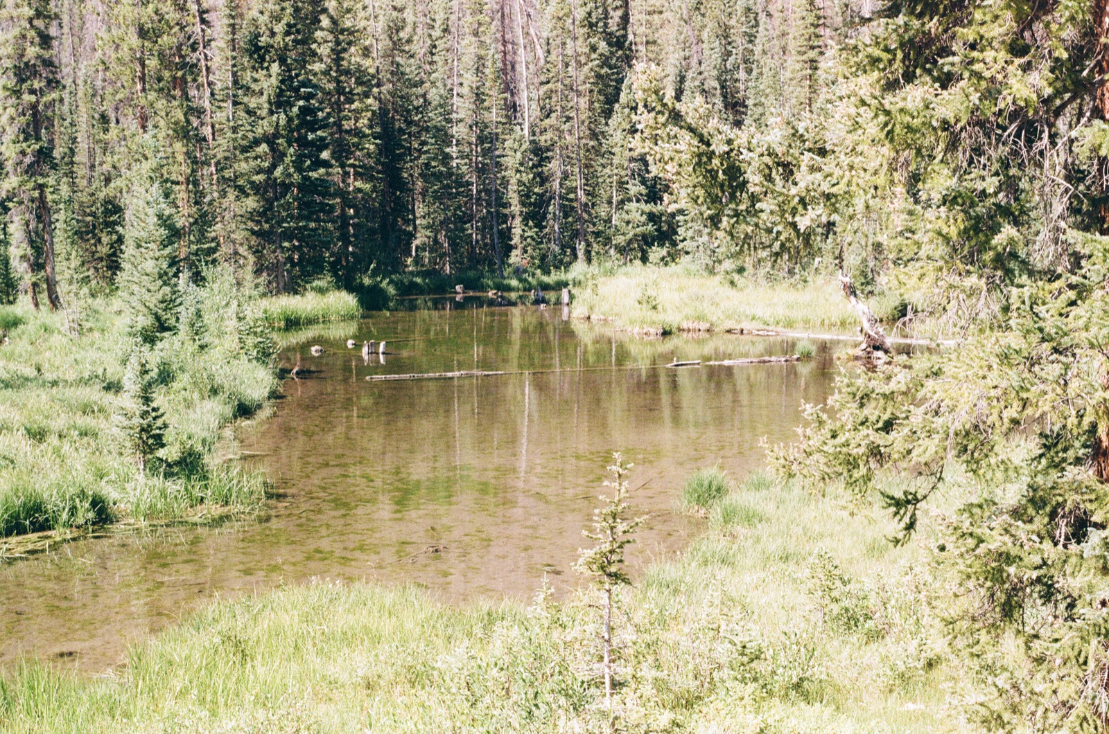 Photo 24
