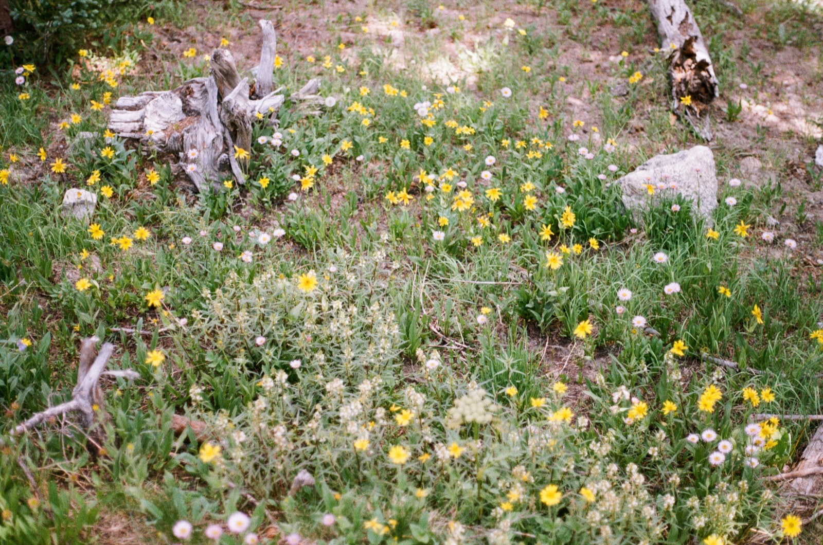 Photo 32