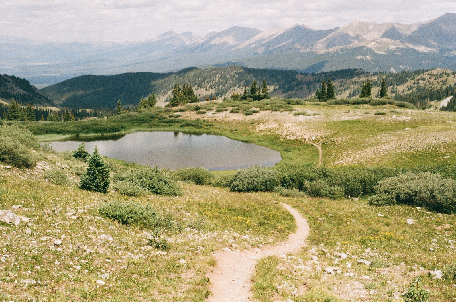 Photo 37