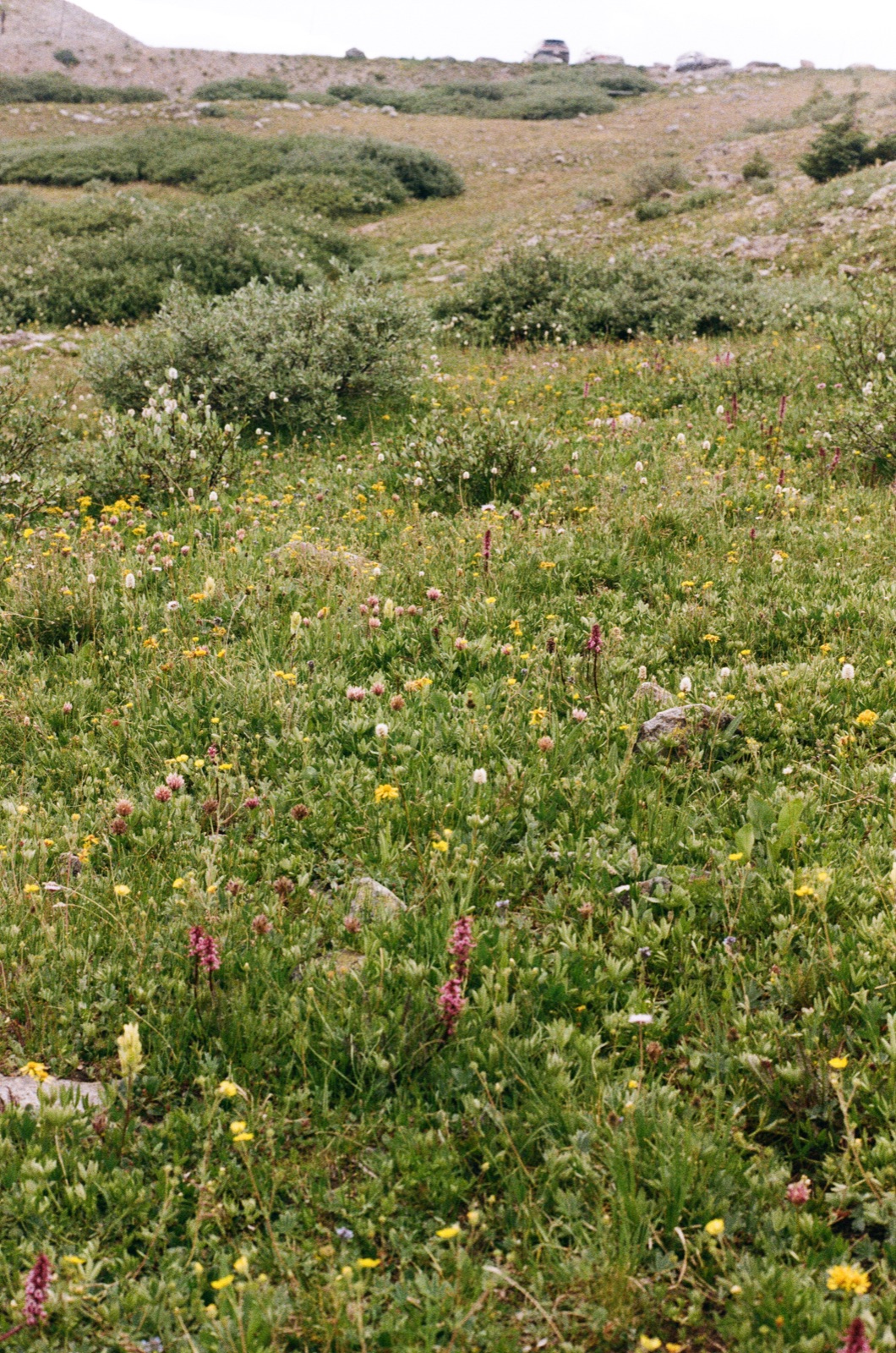 Photo 40