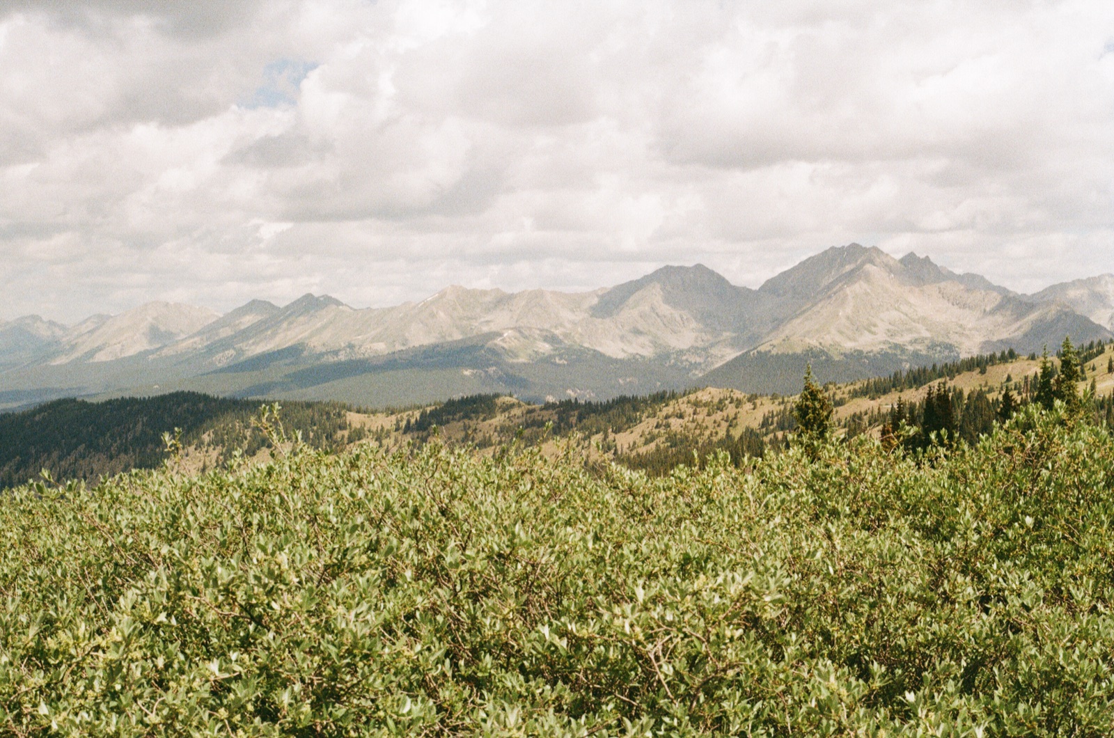 Photo 43
