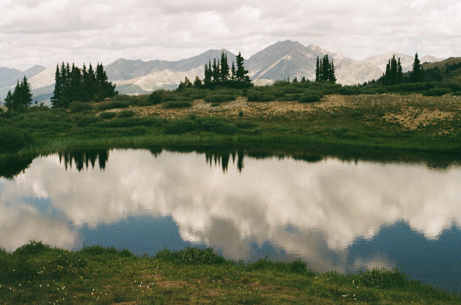 Alpine cover