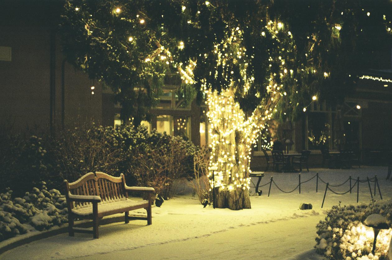 Photo 47