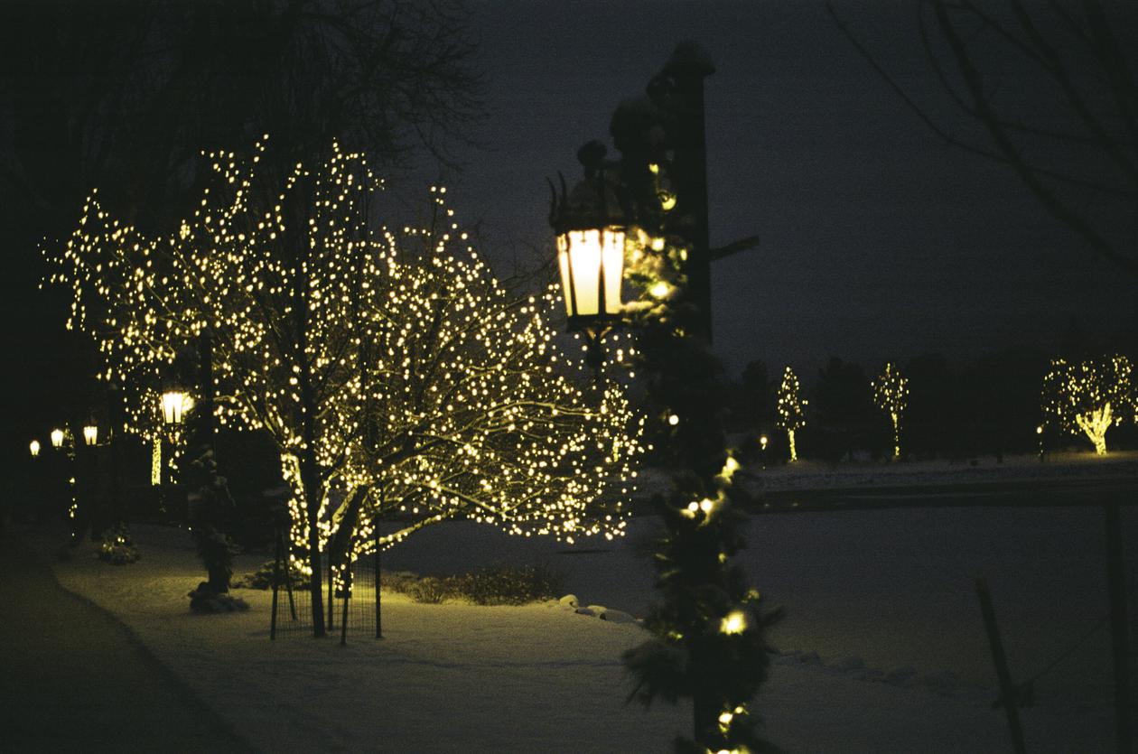 Photo 48