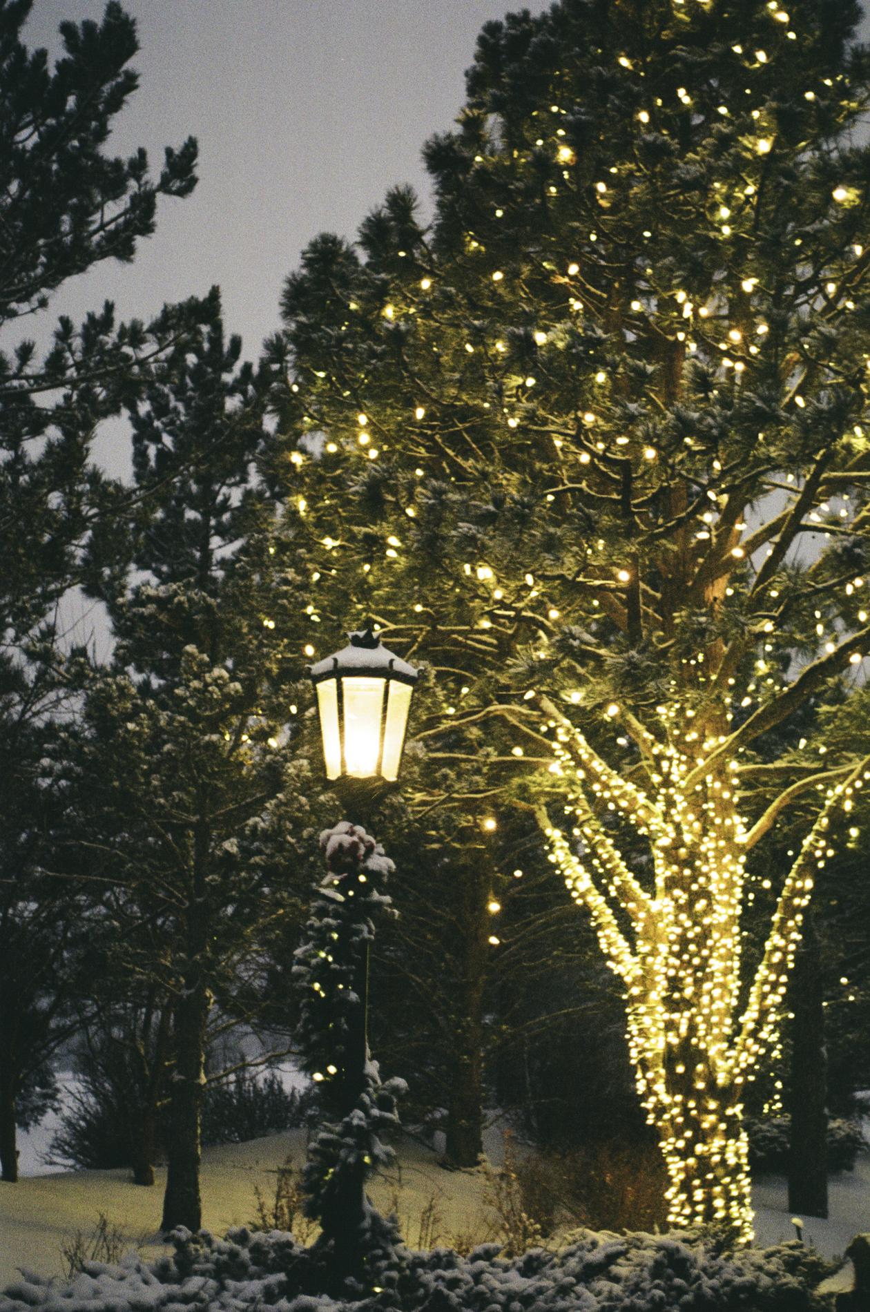 Photo 50