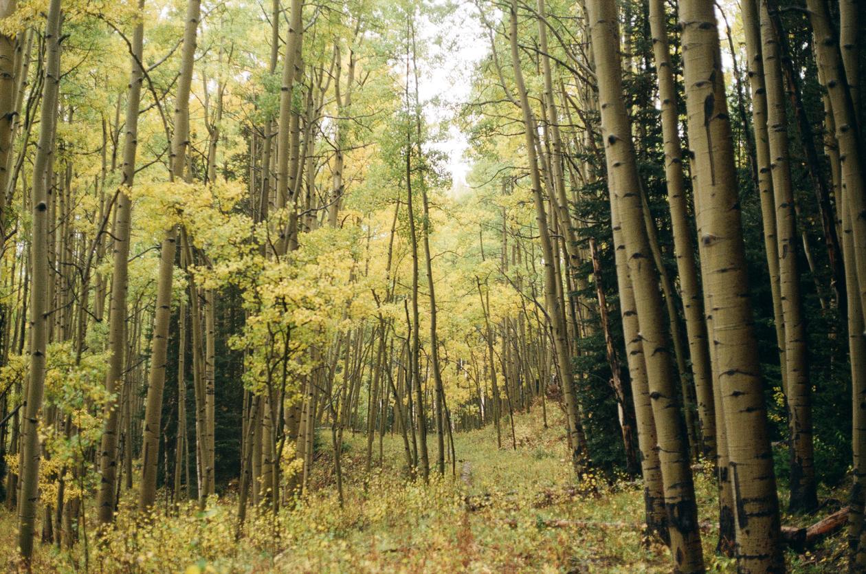 Touring Fall Colors