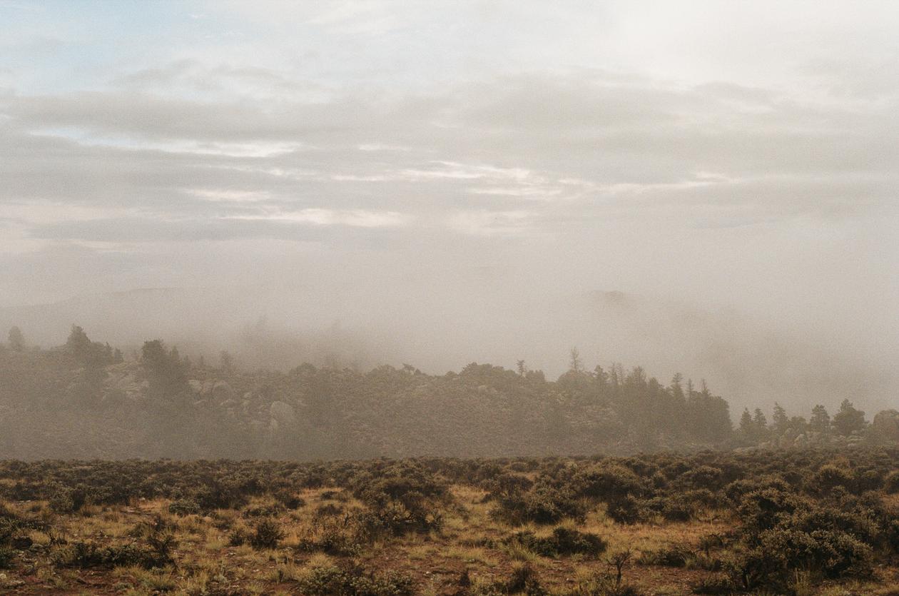 Misting Days
