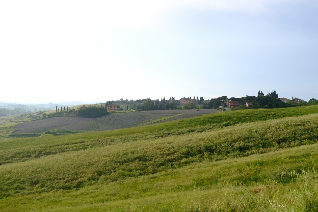 Photo 34