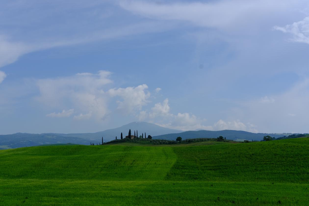 A Sea of Grass