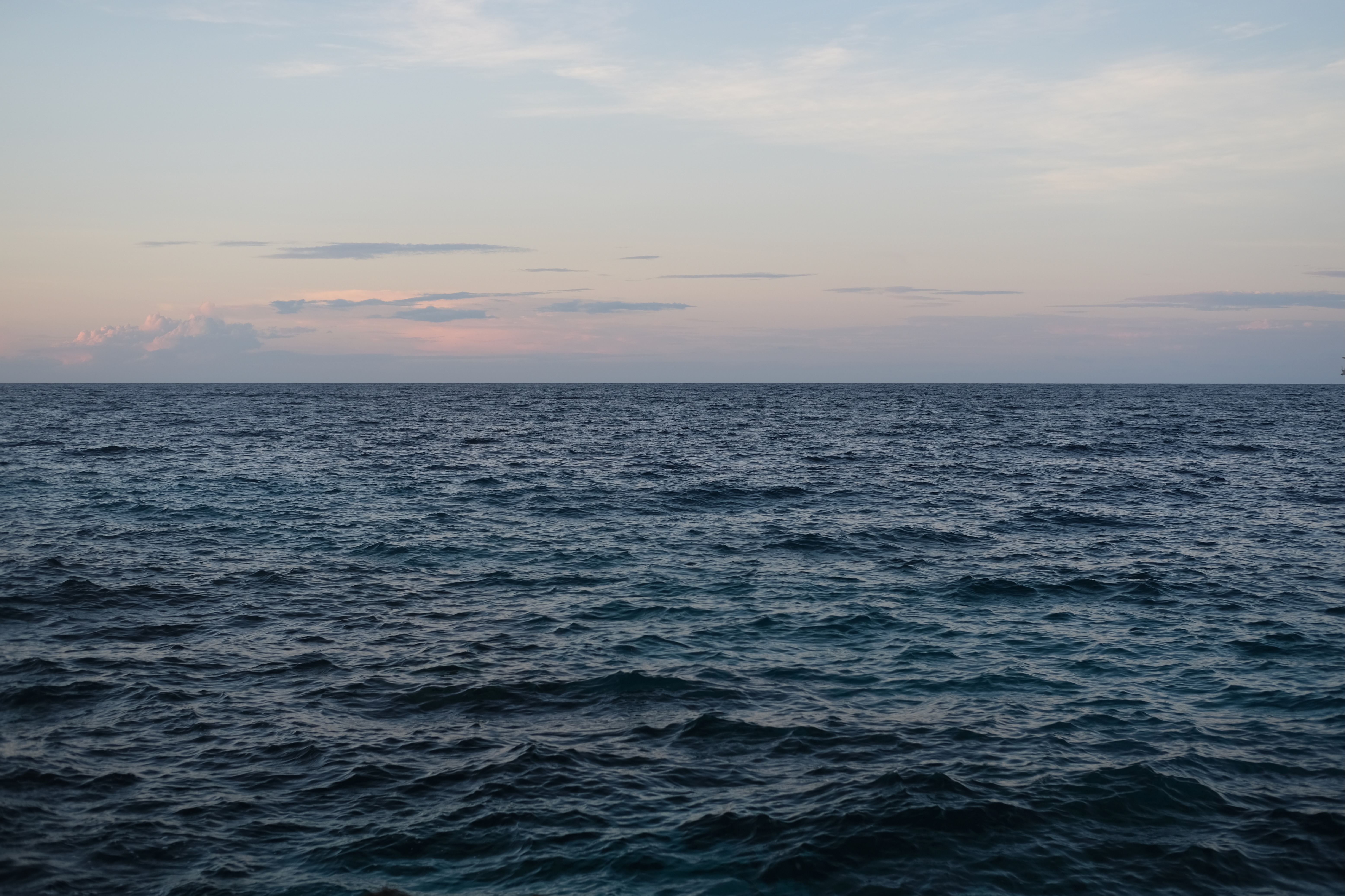 Photo 50