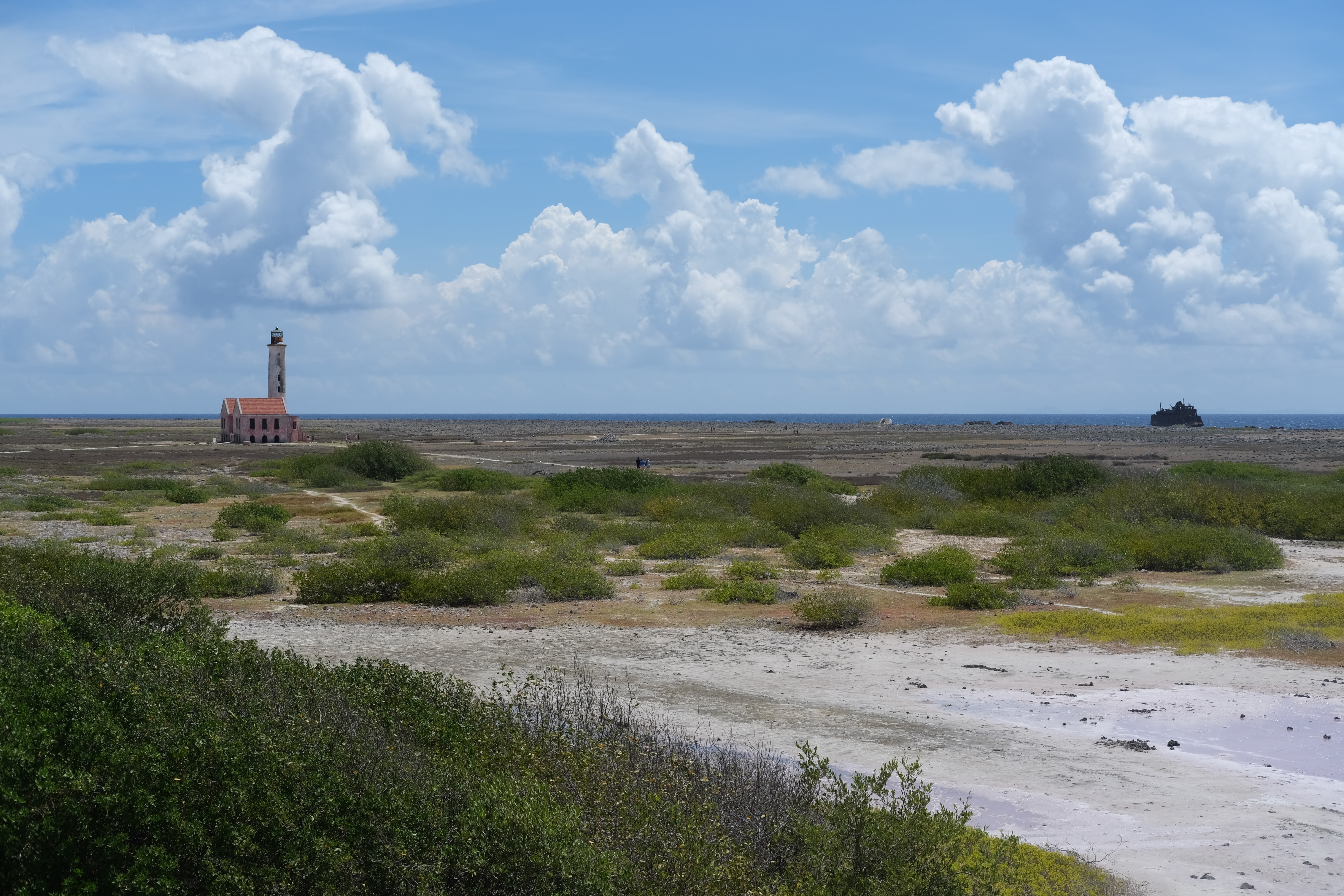 Photo 42