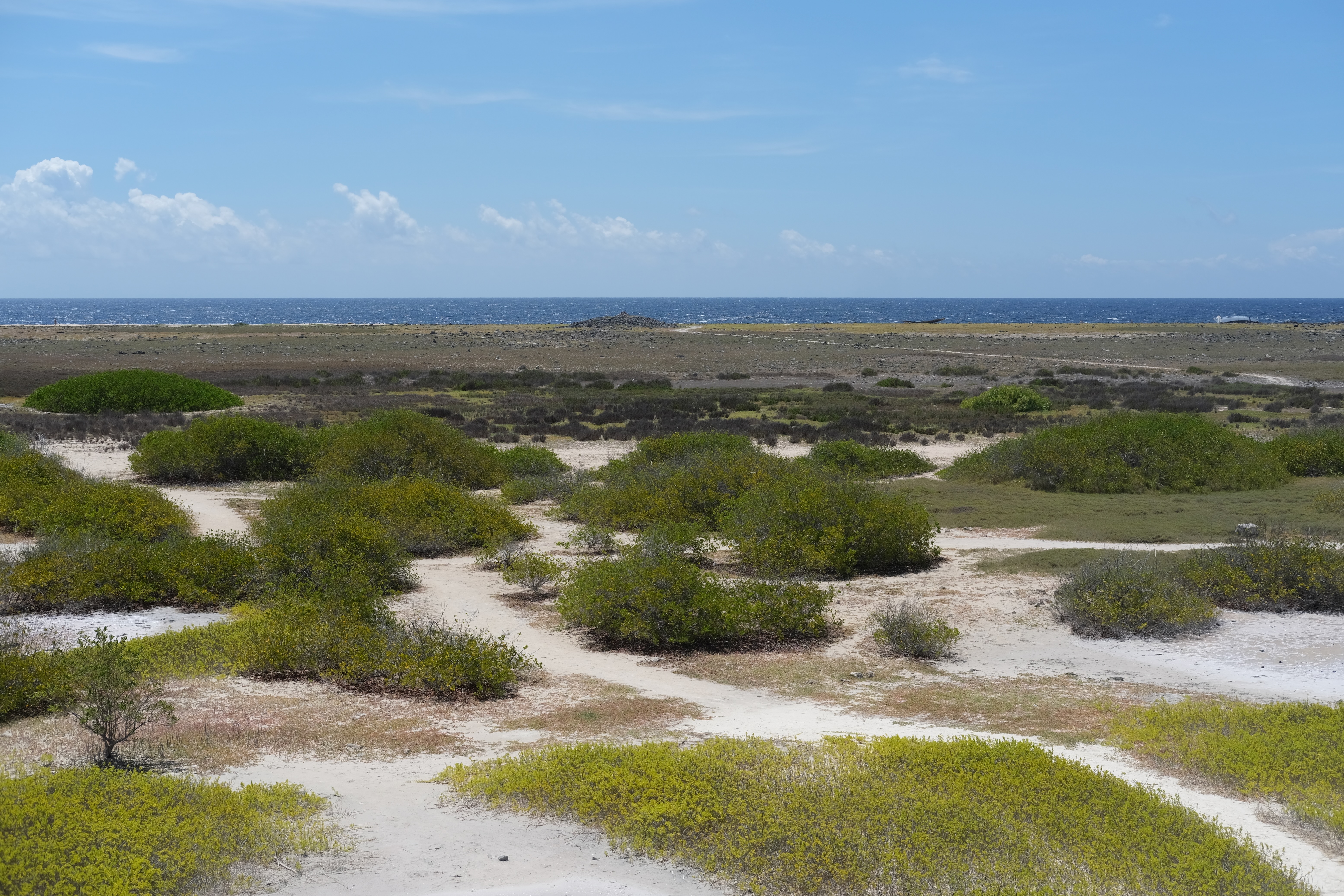 Photo 43